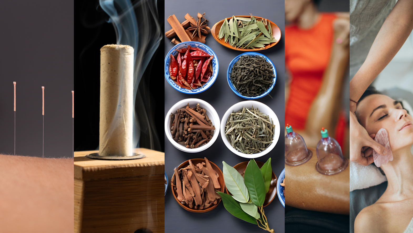 Chinese Medicine - Wellspring Health NYC, Kirsten Manges